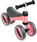 SOARS Kinder Laufrad ab 1 Jahr, Lauflernrad mit 4 Rädern bis 20 kg belastbar, Lauflernhilfe mit ergonomischem Griff, Erstes Fahrrad für Jungen & Mädchen als Geschenke (Rosa)