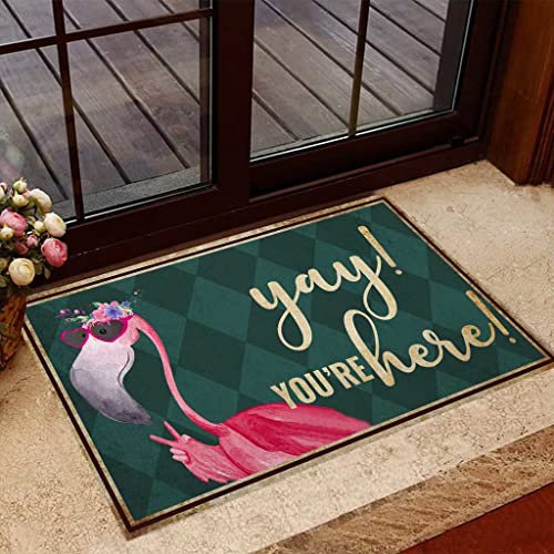 MIAOMANSENSTORE Paillasson Interieur extérieur Paillasson Flamant Rose Yay You're Here, paillasson de Bienvenue décoratif pour la Maison des Amoureux des Flamants Roses Decoration Chambre