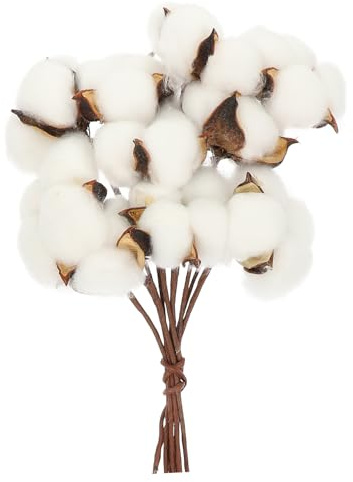 DECOMELODY Getrocknete Baumwollzweige Teiliges Natürliche Trockenblumen Deko Rustikale Baumwollstiele für Hochzeit Weihnachtsdekoration DIY Blumengestecke Vielseitig Einsetzbar für Zuhause