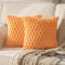 Mandioo 2er Set Orange superweichen dekorative Plüsch Kissenbezug Kissenbezüge 40 x 40 cm Wollsamt Dekokissenbezüge Kissenhülle Sofakissen Dekokissen flauschig für Couch Sofa Bett Wohnzimmer