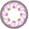 Matlens – EOS Farbige Kontaktlinsen ohne Stärke rosa pink Big eyes Big Flower 2 Linsen 1 Kontaktlinsenbehälter 1 Pflegemittel 50ml