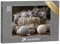 puzzleYOU: Puzzle 200 Teile „Gruppe von kleinen gestreiften Kätzchen“ – aus der Puzzle-Kollektion Katzen-Puzzles