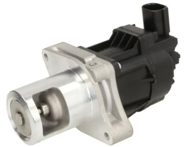 Delphi Technologies EG10479-12B1 EGR Valve