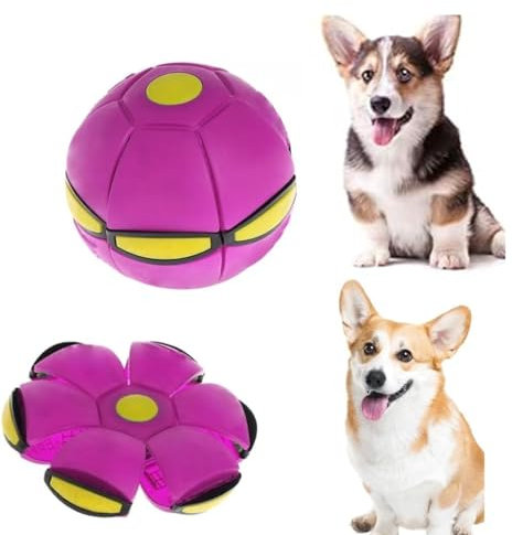 ZHHSUNY Mise à niveau avec éclairage pour animal de compagnie, soucoupe volante, balle soucoupe volante, jouet pour chien, chat et maître (violet)