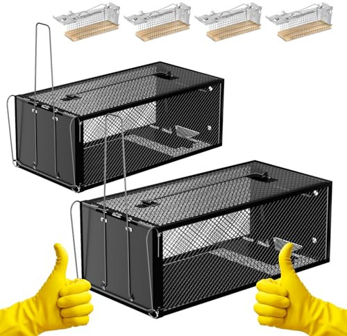 Humane Rat Traps - Large 32 cm Upgraded Mouse Trap for Outdoors & Indoors - Reusable Rat Trap Cage for Mouse and Small Animals - Effective Quick Simple to Use (6 Pack)