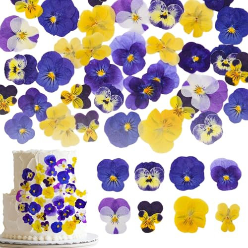 Auiremrti 40 pièces 8 Types de Fleurs séchées naturellement pressées, comestibles pour décorer Les Dessus de gâteaux – Mélange de Violettes tricolores pour Cocktails, Artisanat DIY