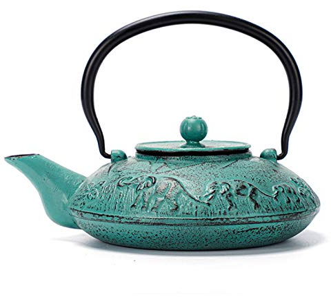 Théière japonaise en fonte, infuseur en acier inoxydable pour thé en vrac, construction durable, intérieur émaillé, 1000 ml