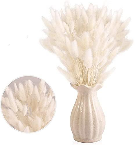 Meet-shop Getrocknetes Pampasgras,Kaninchenschwanz Gras 30 Stück Natürlicher Trockenblumen Blumenstrauß Deko Künstlich Groß Trockenblumen Pampasgras für Inneneinrichtungen Fotografie Hochzeit Weiß