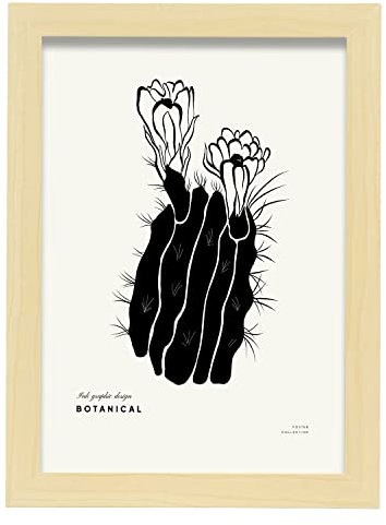 Nacnic Affiche avec des Fleurs et des Plantes en Noir et Blanc. Fleurs de Cactus. Illustrations artistiques Modernes pour la décoration intérieure. A4 avec Cadre.