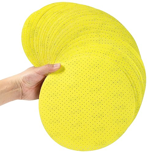 Selead Papier Abrasif 225mm Pastilles Abrasives Permanentes 25 Pièces Grain 150 Disques Abrasifs Perforés Feuilles Abrasives Ponceuse Pour Cloisons Sèches Girafe de Ponçage Ponceuse de Plafond