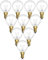 TobeBright Globe Leuchtmittel E14 Dimmbar, 62W SES Glühbirne G45/P45 Tropfenform Warmweiß 2700K Klarglas Vintage Lampe E14 AC 220-240V für Tischlampe, Wandlampe, Deckenventilator (10-Pack)
