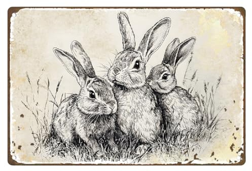 DOODLREAM Vintage Osterhase Metall-Blechschild, Kaninchen-Wanddekoration | 20 x 30 cm Retro Metall-Blechschild Osterhase, frühlingshaftes Wandposter für Kinderzimmer, Bauernhaus und Männerhöhle