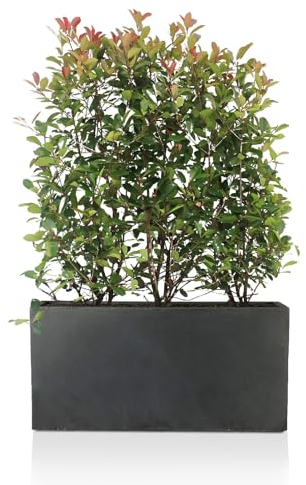 IDEALIST 85cm Large Trough | Dark Grey Reinforced Stone Rectangle Plant Pot | Garden Planters with Drainage Holes L85 W26 H41 cm, 60 litres