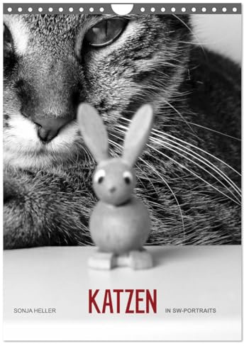 Sonja Heller Katzen in SW-Portraits (Wandkalender 2026 DIN A4 hoch), CALVENDO Monatskalender: Katzen - festgehalten in SW-Fotografien (CALVENDO Tiere)