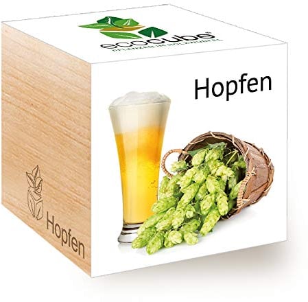 Feel Green Ecocube Hopfen, Idea de Regalo sostenible (100% Eco Friendly), Grow Your Own Craft Beer/Anzuchtset, Plantas en Cubos de Madera, Fabricado en Austria