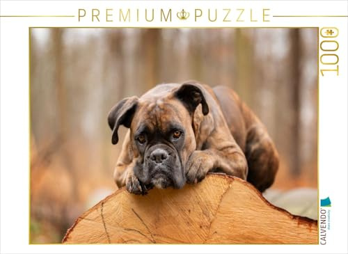 Puzzle · Der Boxer und das Holz der Zeit | Ruhepol im Herbstwald · 1000 Teile · Lege-Größe 64 × 48 cm · CALVENDO Puzzle