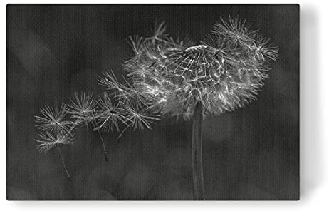artboxONE Leinwand 150x100 cm Natur Vom Wind verweht von Naturfotografie Andrea Potratz