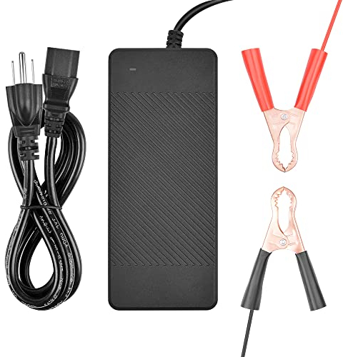 TalentCell AC/DC 14.6V/10A LiFePO4 Battery Charger with Alligator Clips Connector Charge for 4S 12V Rechargeable Lithium Iron Phosphate Battery Pack