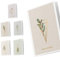 Unicef - Pack mit 10 Weihnachtskarten,Elegant Nature