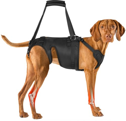 Visinite Hundegeschirr, Hebegeschirr für Hinterbeine/Hüftstütze mit Griffen, Hundestützbandage, Hilfe bei Arthritis, schwachen Beinen, Verletzungen der Beweglichkeit (L)