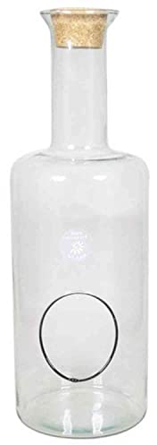 innaGLAS INNA-Glas Vase Terrarium en Verre Draco, Couvercle en liège, Ouverture latérale, Transparent, 45cm, Ø 6cm/Ø 15cm - Terrarium Bouteille