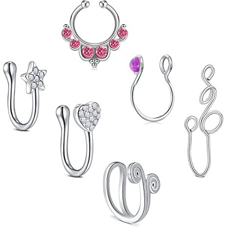 AceFun 14 Stück Falsch Ohrringe Fake Nasen Ohr Lippe Ringe Non Pierced Ohrringe Hoop Körperschmuck für Männer und Frauen, 3 Stile …