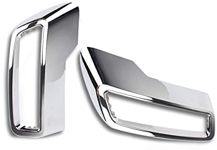 Carbon Fiber Color Polished Heckauspuff Schalldämpfer Endrohrleisten Aufkleber 2Stk Für 3008/5008 2017-2020 Autozubehör (Chrom)