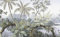 MIWEI Wallpaper Papier Peint Panoramique Jungle Tropicale Rétro Fresque Murale Papier Peint 3D Chambre Peinture Murale S-13938 400X280CM