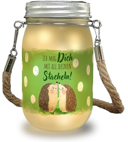 speecheese Igel Pärchen Solarlicht mit Spruch Ich mag dich mit all deinen Stacheln ein romantisches Dekolicht Partner Freunde Valentinstag Dekolampe Einmachglas Solar Deckel
