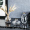 Hniuyun Lot de 3 vases en verre transparent hydroponique minimaliste et esthétique pour décoration d'intérieur (transparent)