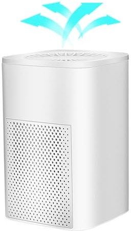 Air Purifier for Home Bedroom Small USB Desktop Air Purifiers, Ionic Air Purifier with HEPA Filter, Effectively Removes Dust, Cigarette Smoke, Pet Odors, Pollen, Ultra Quiet Powered by USB (White)