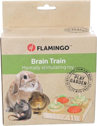 NS Brain Train Bumble 15x15x6CM