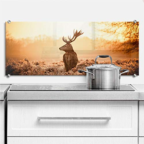 Spritzschutz Hirsch Glasbild Küche Natur Motiv Glas Küchenrückwand inkl Edeldstahl Klemmbefestigung 100x40cm