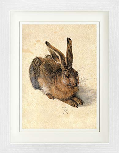1art1 Albrecht Dürer Poster Junger Feldhase, 1502 Gerahmtes Bild Mit Edlem Passepartout | Wand-Bilder | Im Bilderrahmen 40x30 cm