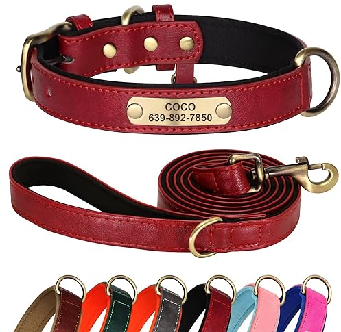 Didog Hundehalsband und Leine, Set aus Leder für kleine, mittelgroße und große Hunde, 1,5 m, weich gepolsterte Leder-Hundeleine und Halsband, strapazierfähiges Hundehalsband aus Leder mit graviertem