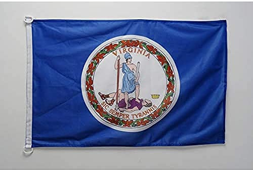 AZ FLAG - Flagge Virginia - 90x60 cm - Bundesstaat Virginia Fahne 60 x 90 Cm Aussenverwendung - Flaggen