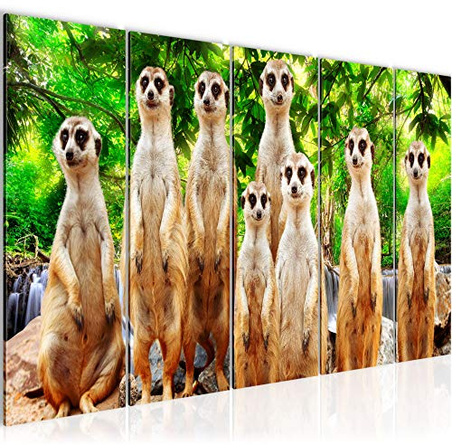 Runa Art Bild Afrika Erdmännchen Wandbilder auf Vlies Leinwand 5 Teilig Wanddekoration Wohnzimmer Schlafzimmer 005556c