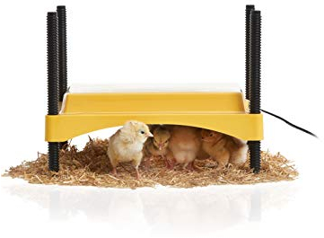 Brinsea Ecoglow Safety 600 Couveuse pour poussins ou canetons, hauteur et angle réglables pour 20 poussins, idéale pour les poulaillers avec indicateur de sécurité, 12 W