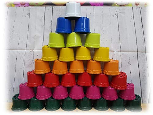 32 x 9cm Coloured Plant Pots Flower Pots by Pretty Wild Seeds Yellow red White Green Fuchsia Orange Blue (1 Pack x 32)