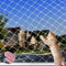 Aicharynic Filet de protection pour chat - 5 x 5 m - Filet de balcon pour chat - Taille des mailles : 2,5 x 2,5 cm - Sans perçage - Convient pour balcons, escaliers, fenêtres, terrasses