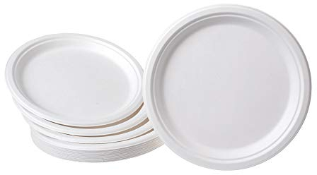 GRÄWE Lot de 25 assiettes en canne à sucre 25 cm
