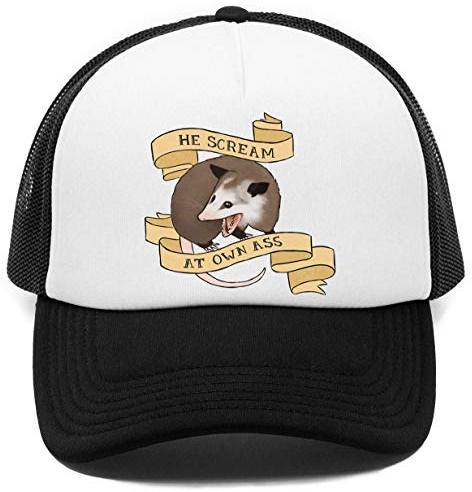 Vendax He Scream at Own Ass Kappe Baseball Rapper Cap
