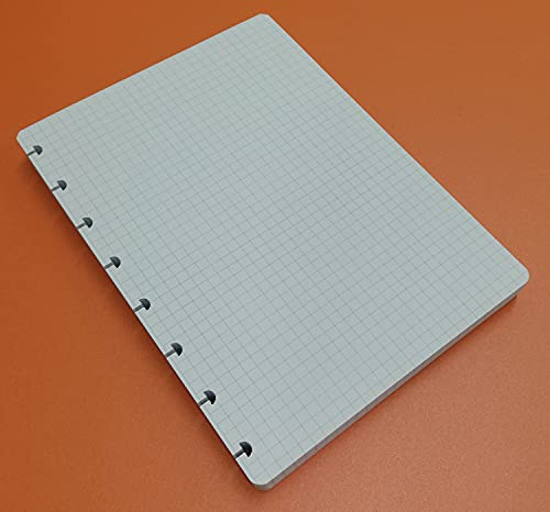 Refills Inserts for disc bound planer Nachfüllpackung 100 Blatt (200 Seiten) T-förmige Löcher - DIN A5 14,5 x 20,5 cm, kariert 5 mm.