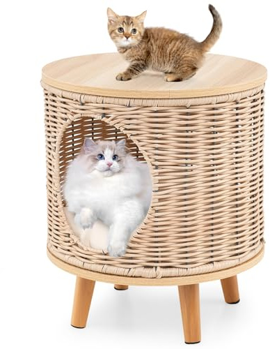 COSTWAY Wicker Cat Bed Ottoman, Elevated Cats Cave Sleeping House with Rubber Wood Legs & Detachable Cushion, Indoor Rattan Kitten Condo Furniture Footstool, 36 x 36 x 41cm