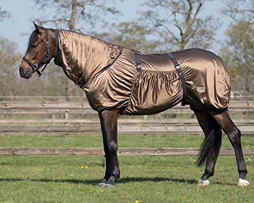 QHP Ekzemdecke mit Hals und abnehmbarem Bauchlatz (115 cm, Braun)