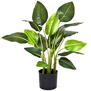 GreenBrokers Artificial Real Touch Bird of Paradise (Strelitzia) Plant in Black Pot Ideal for Home, Office, Indoor Outdoor Living 78cm/30in
