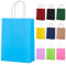 lohey 10 Stk. Geschenktüten Klein mit Henkel, Mehrere Farben Papiertüten Klein, Gift Bag für Weihnachten, Geburtstagsgeschenke, Ostern, Valentinstag, Muttertag (21x15x8cm)