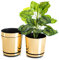 KORAD Set of 3 Decorative Planters 26 cm Shiny Gold 26 cm for Flowers, Herbs, Plant Compositions OSL 26/111 x3