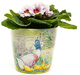 Beatrix Potter Peter Rabbit Eco Pots Set 1 - Mrs Tiggy-Winkle, Jemima & Mr Tod and Peter & Mr McGregor pots as a SET of 3