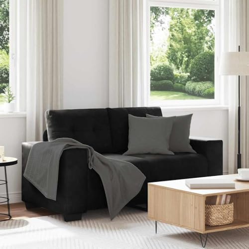 Runheo Zweisitzer-Sofa Schwarz 120 cm Samt, Modern Wohnzimmer Couch, Bequemes Relaxsofa mit Holzrahmen, Möbel für kleine Räume